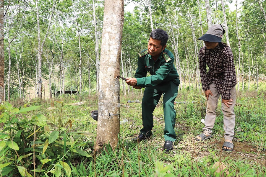 Đảng viên của bản làng biên giới