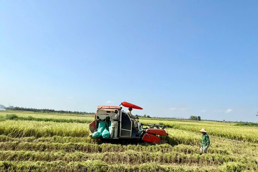 Xã Tân Minh (thành phố Hải Phòng): Khơi thông nguồn lực từ sự đồng thuận của nhân dân