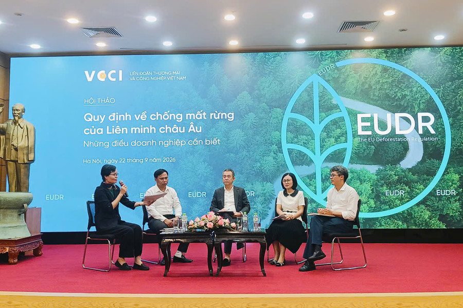 Quy định về chống mất rừng của Liên minh châu Âu - Những điều doanh nghiệp cần biết
